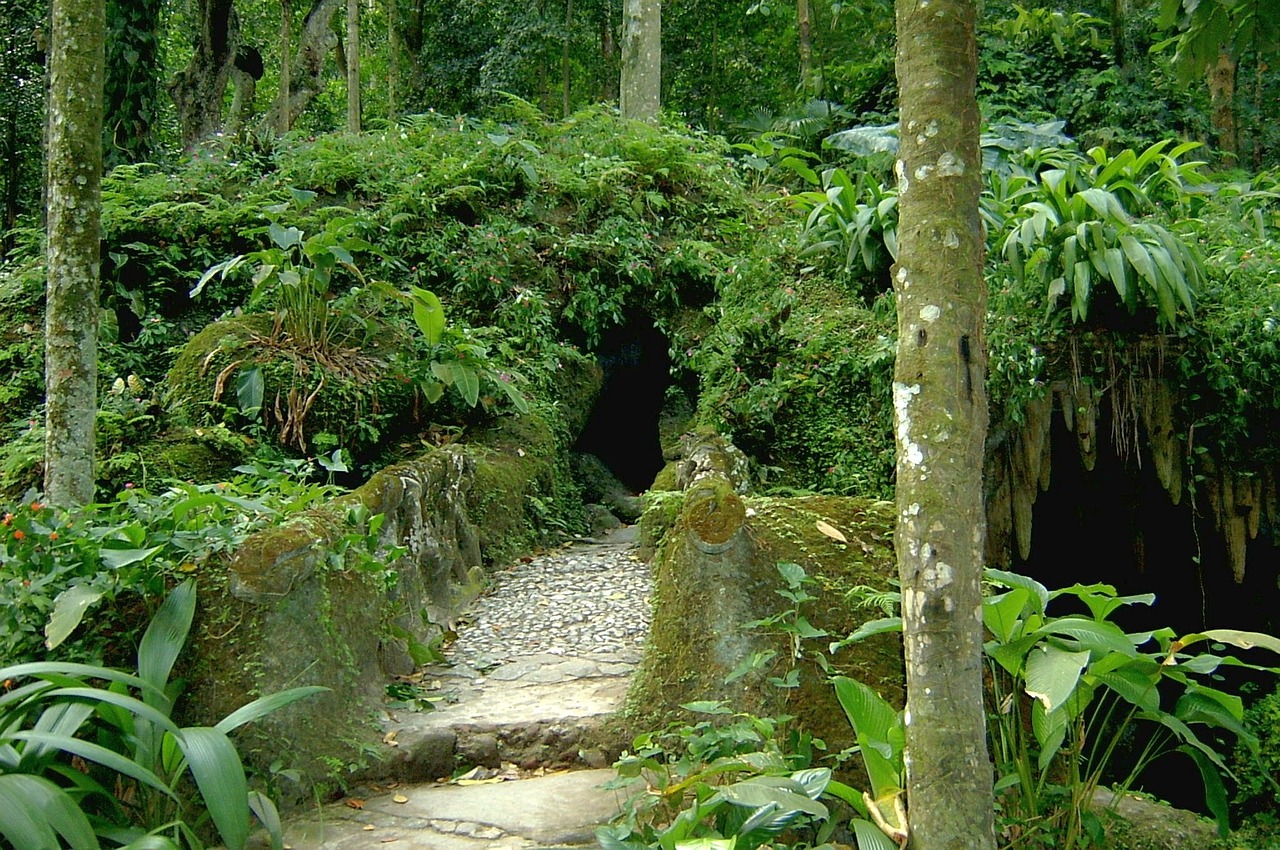 室內(nèi)樓梯下盆栽綠植景觀