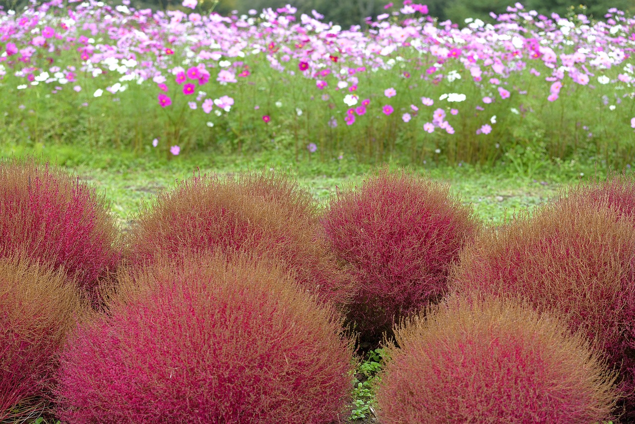 綠植盆栽室外幼兒園，打造自然與教育的和諧融合